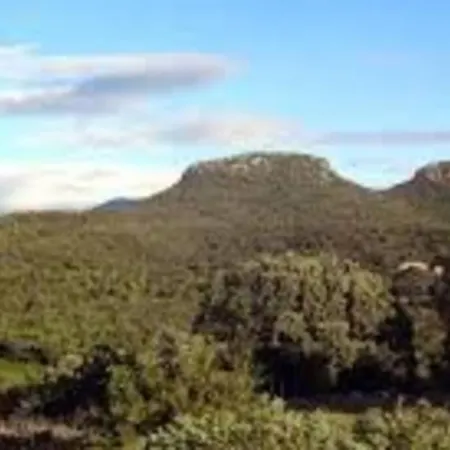Maison Bois Bleu, En Cevennes